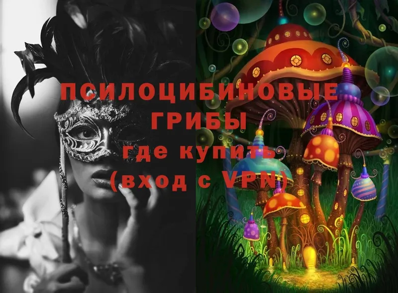 mega ТОР  Верещагино  Псилоцибиновые грибы Psilocybine cubensis 